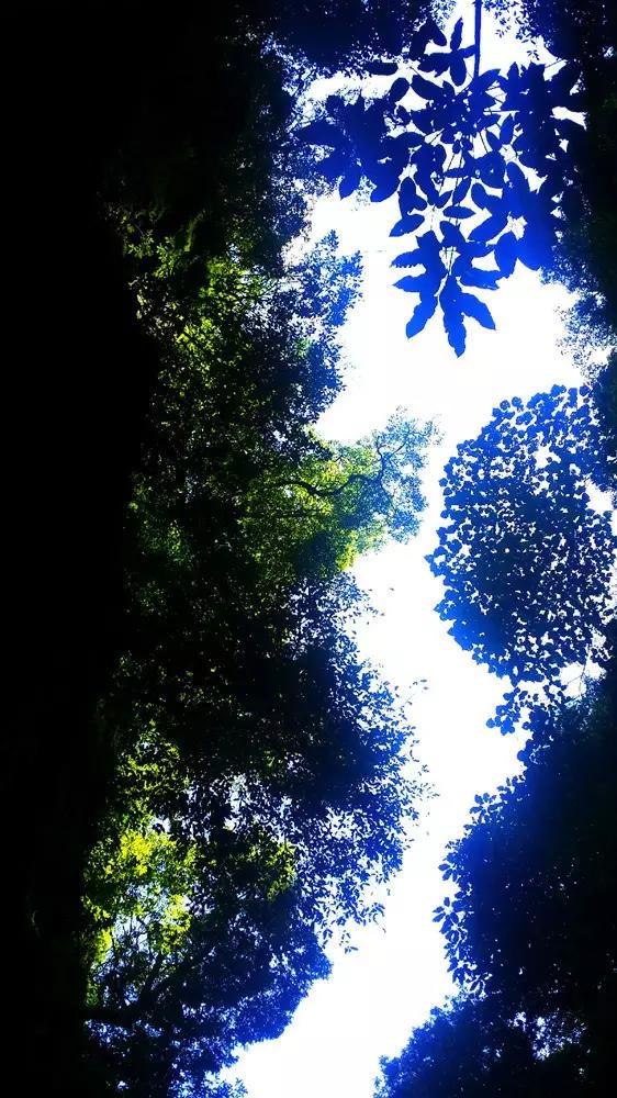 银行卡被系统锁定了要多久可以解除?知识问答网页,解答你的疑问
